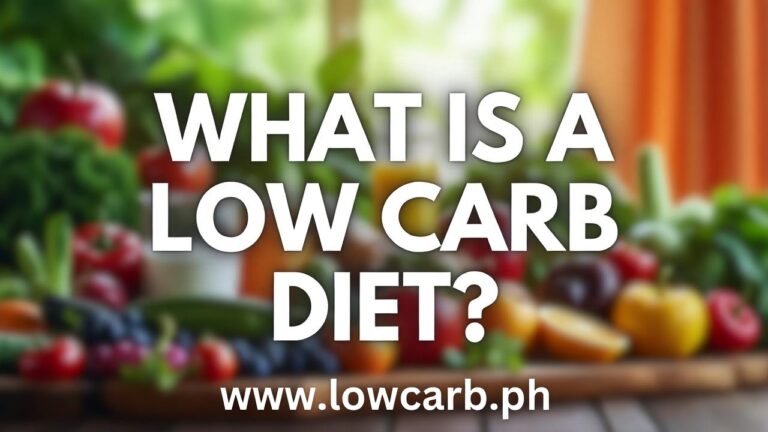 What is low carb diet?