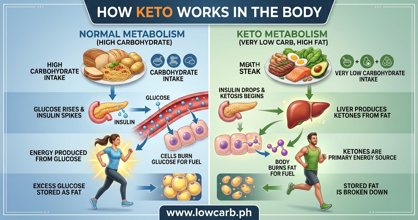 difference between normal metabolism and keto metabolism