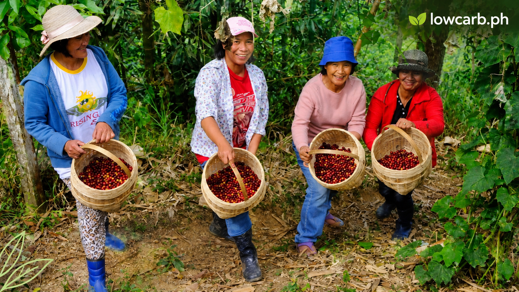 women in lowcarb.ph farm harvesting coffee beans